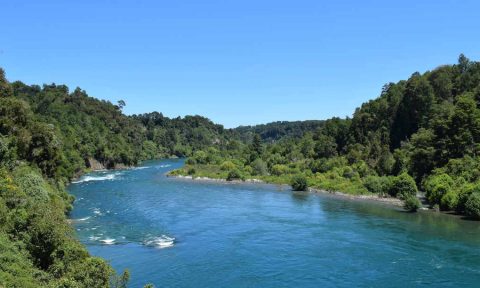 Río San Pedro reglón de los ríos