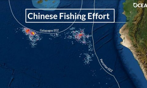 flota pesquera china en los mares de suramérica