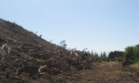 cerro chequén