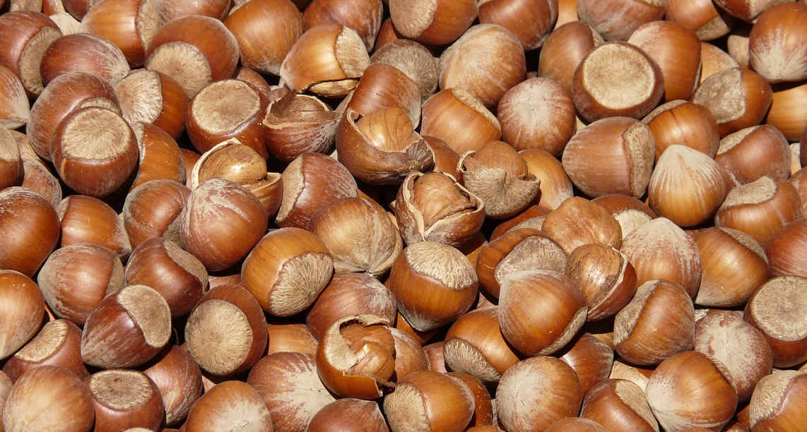 hazelnuts-73940_1280